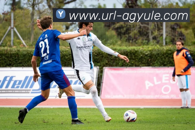 AG娱乐服务体系